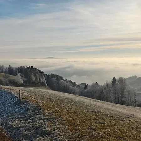 Privatunterkunft Da Tizzi *